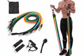 Resistance Bands Set - 5 Exercise Bands with Handles, Door Anchor & Carry Bag